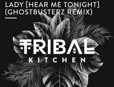 DJ Blackstone & Tony T - Lady (Hear Me Tonight) (Ghostbusterz Remix)