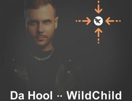 Da Hool & WildChild - Meet Master (Kolya Funk Remix)